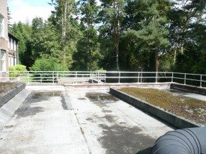 Roof safety systems 